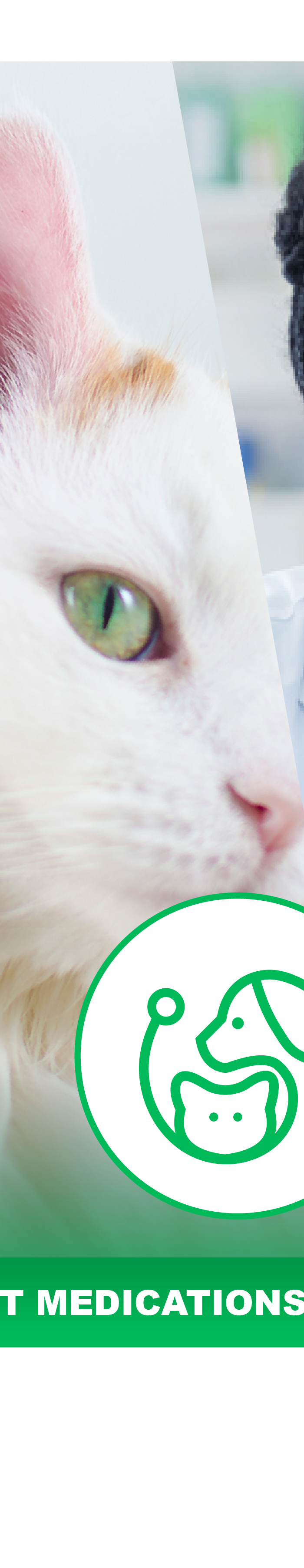 <h2>Providing Simple Solutions to Healthy Living:</h2>