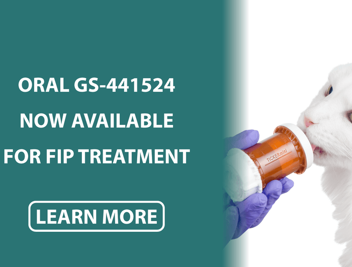 <p></p><p></p><p></p>