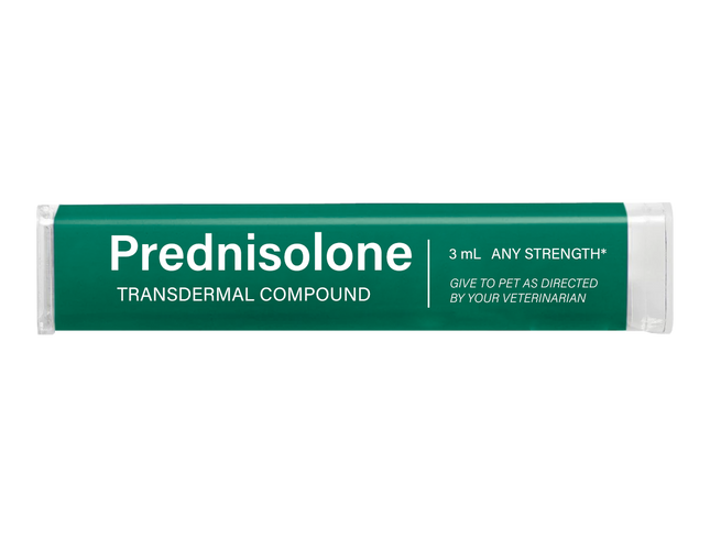 Prednisolone - Transdermal