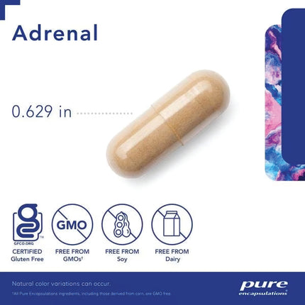 Adrenal